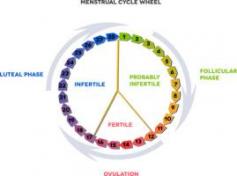 Ovulation Calculator
